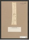 Pleurosigma sp. (de-Toni-Nr.: Genus 13) Zeichnungen Sammlung Grunow Nr. 2185 (NHMW-BOT-W0369254)